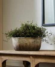 Load image into Gallery viewer, Planter - Rustic Marron Bowl large