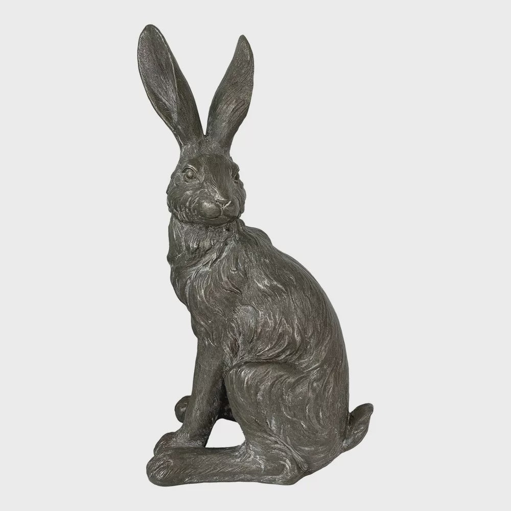 Hare -Grey standing small