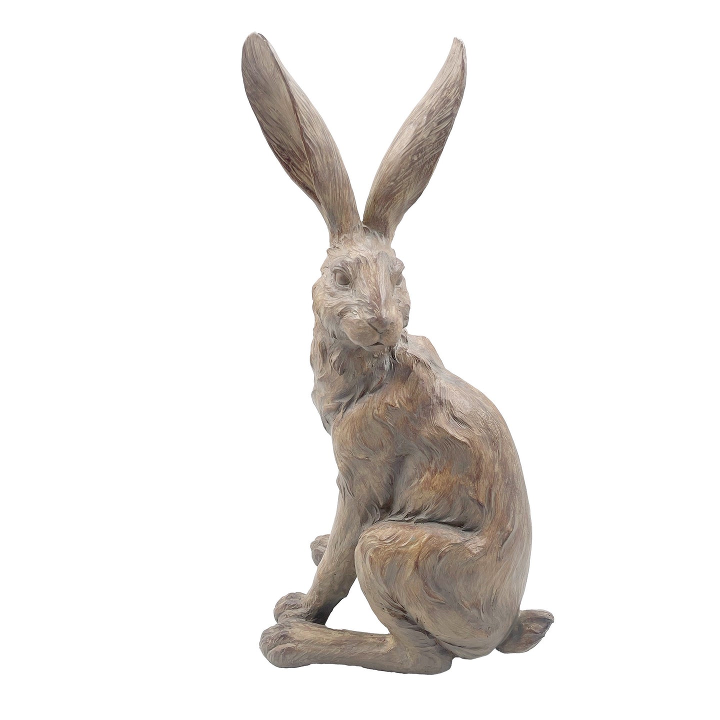 Hare - Brown standing