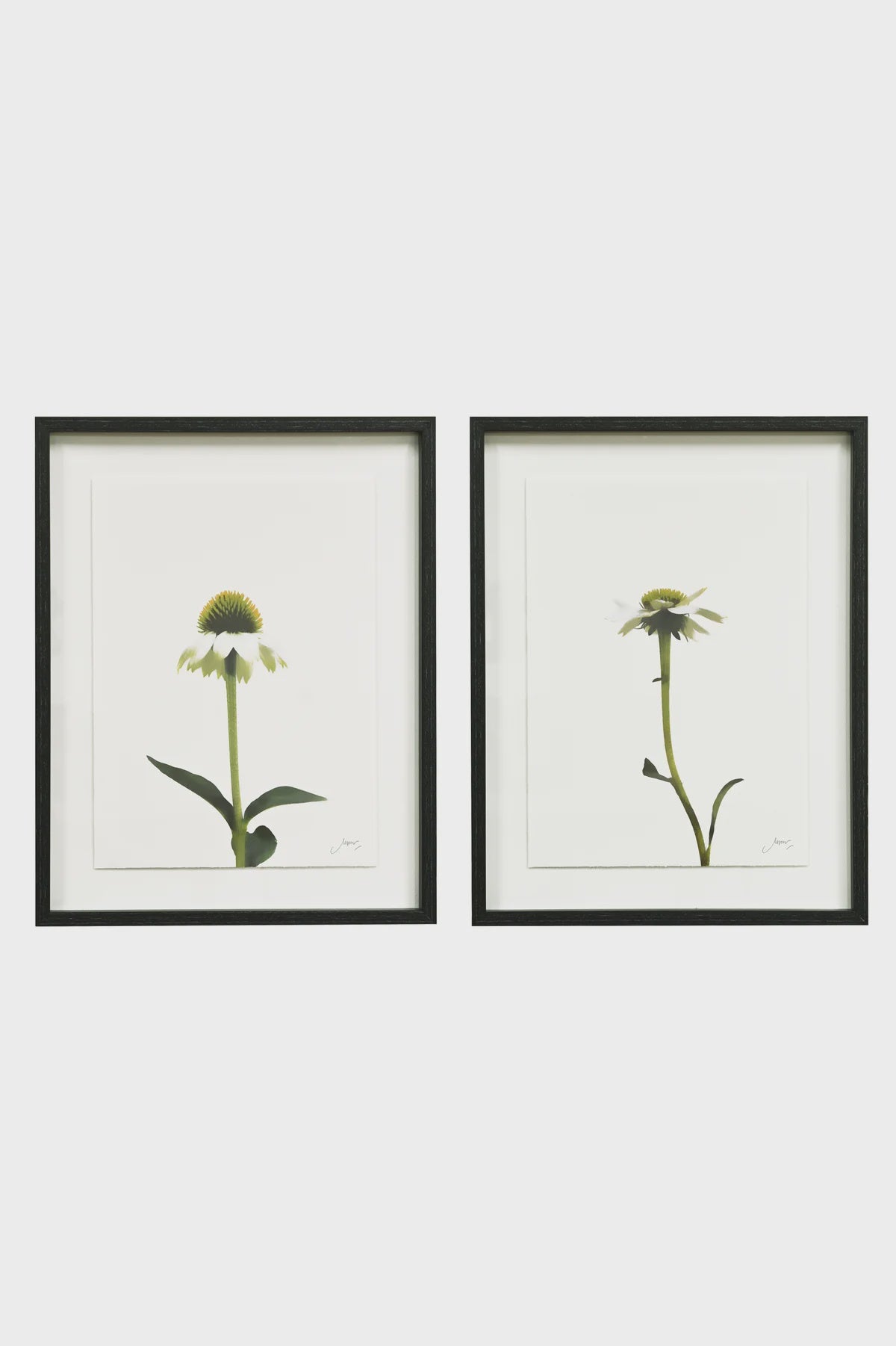 Artwork - Single flowers set of 2
