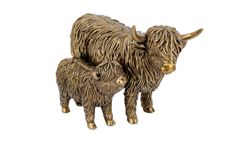 Cow - Highlands with calf