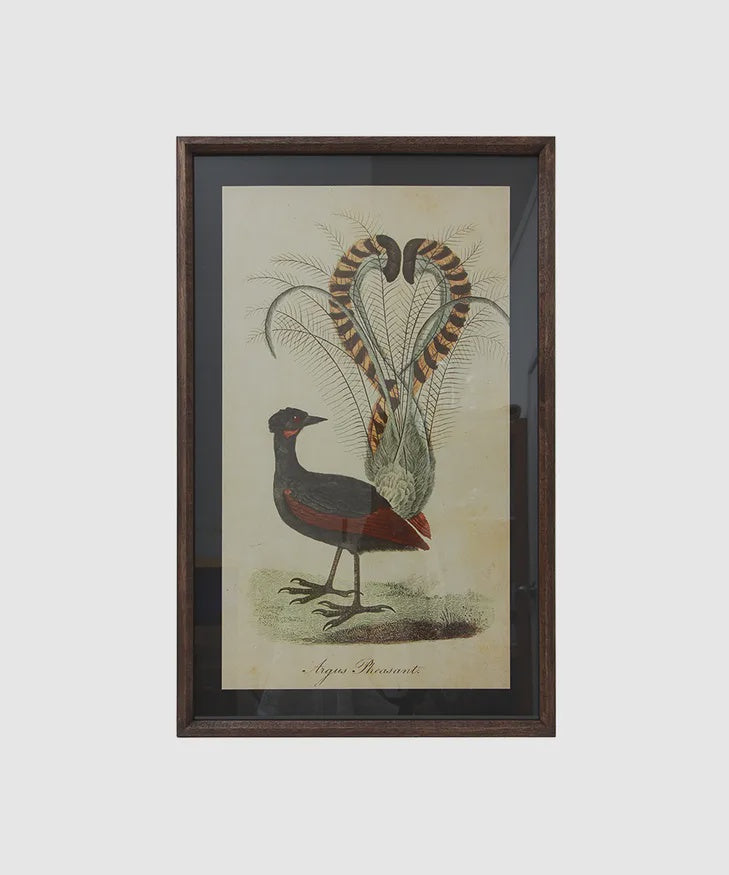 Art - Bird Lyre glass frame