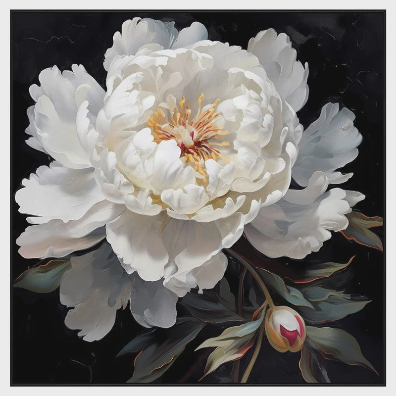 Canvas - Peony timeless beauty