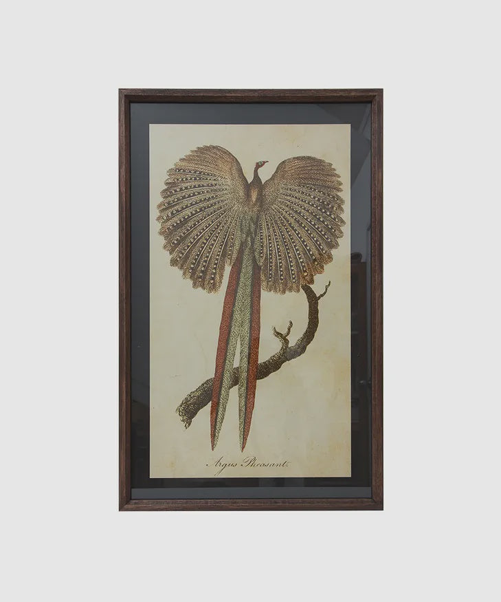Art - Pheasant glass framed