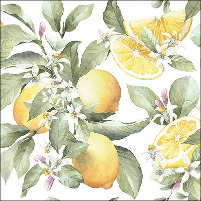 Serviette - Large Luncheon Limoni