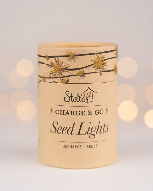 Lights - Charge and go copper 3m