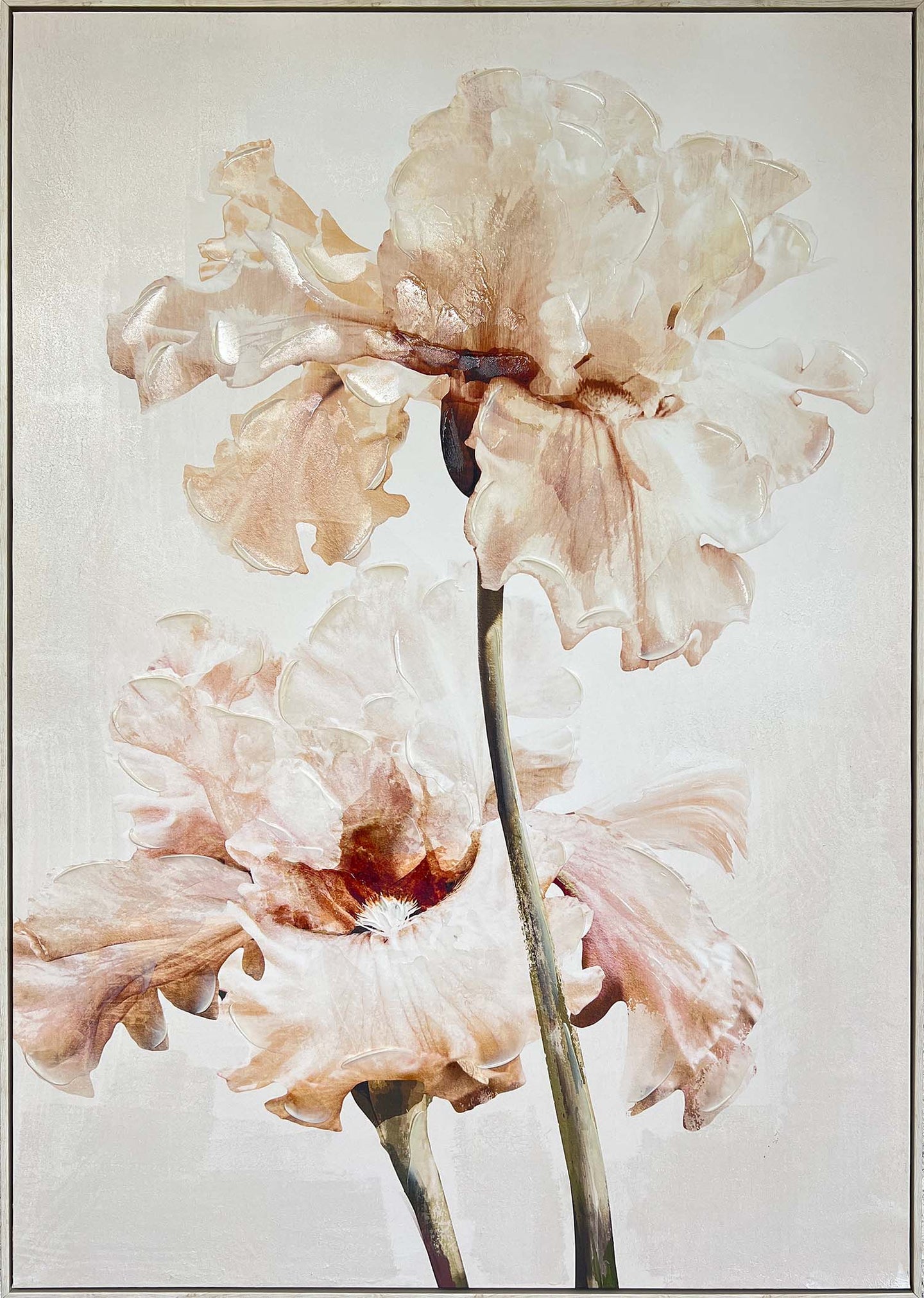 Canvas - Blush Iris