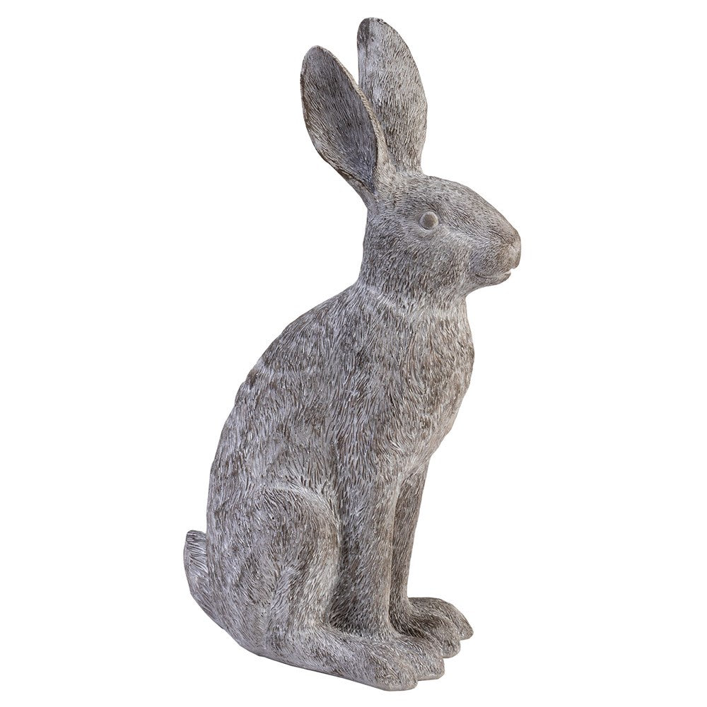 Hare Sitting Large