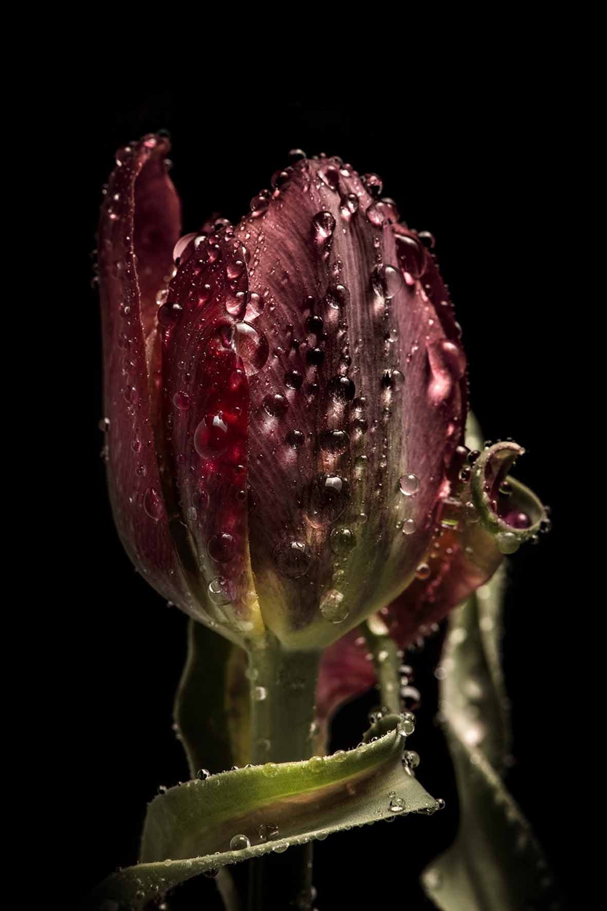 Art Glass-Dewdrop