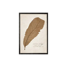 Load image into Gallery viewer, Art - Leaf prints set of 2
