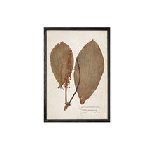 Load image into Gallery viewer, Art - Leaf print/ Set of 2
