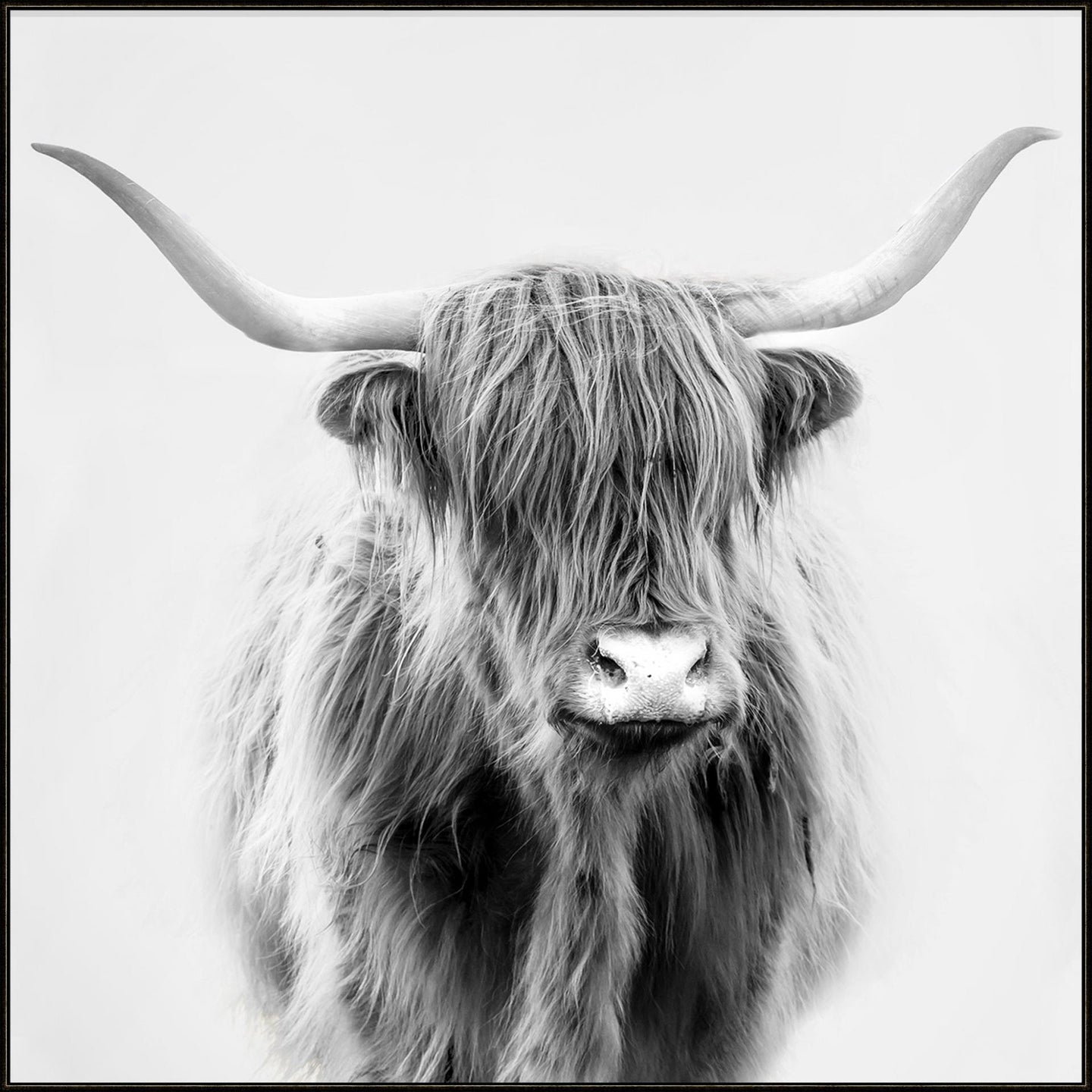 Art work- Highland Cattle Mane 2