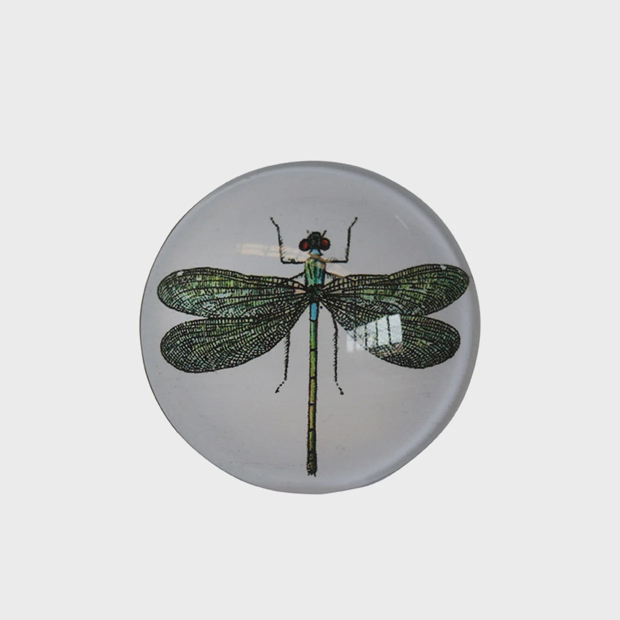 Magnet - Dragonfly set of 6